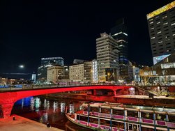 IMG_20250320_210956.jpg