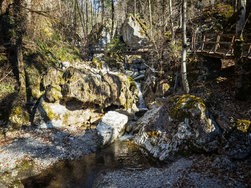 IMG_20250319_093315-2-2.jpg