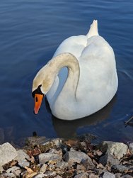 IMG_20250320_141236.jpg