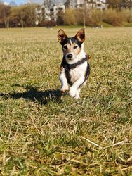 IMG_20250321_085131.jpg