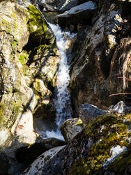 IMG_20250319_093422_Topaz.jpg