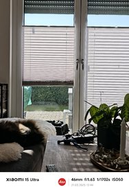 IMG_20250321_124444.jpg