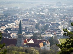 IMG_20250320_100233-2-2.jpg