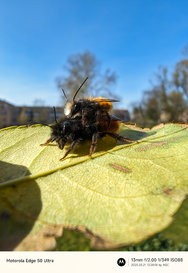 Gcam20250321_132851900.jpg