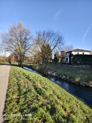 IMG_20250321_072642.jpg