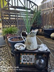 IMG_20250321_084313.jpg