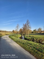 IMG_20250321_073059.jpg