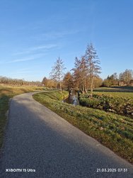 IMG_20250321_073126.jpg
