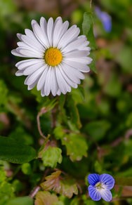 IMG_20250321_131143 (1).jpg