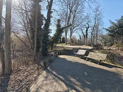 IMG_7917.jpeg