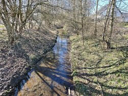 IMG_7912.jpeg