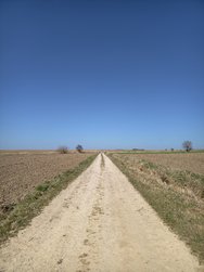 36.jpg