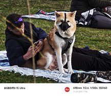 IMG_20250321_173610.jpg