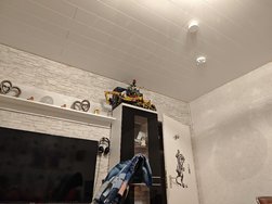 IMG_7980.jpeg