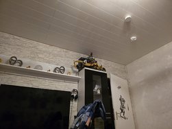 IMG_7981.jpeg