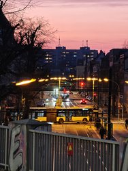 IMG_20250320_185024.jpg