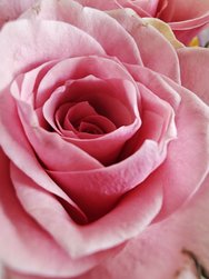 IMG_20250315_142024.jpg