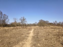 IMG_1 50MP.jpg