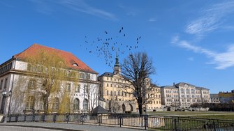 PXL_20250322_111518657.jpg