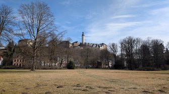 PXL_20250322_121432342.jpg