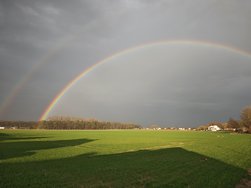 1000009548.jpg