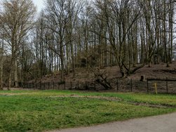 IMG_20250322_145728.jpg