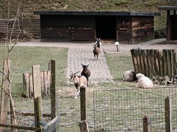 IMG_20250322_145501.jpg
