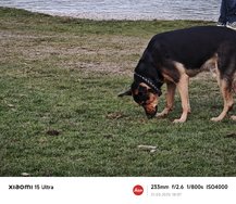 IMG_20250321_180716.jpg