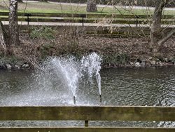 08_Vx200P_Naturfarben_5x.jpg