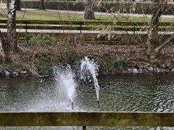 08_Vx200P_Strukturiert_5x.jpg