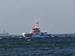 IMG_20250322_165741.jpg