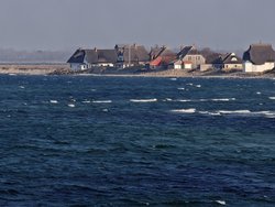 IMG_20250321_164035.jpg