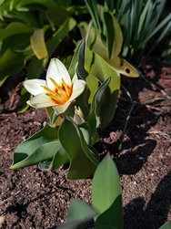 IMG_20250321_131020.jpg