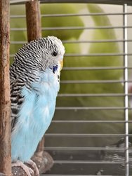 IMG_20250216_114431.jpg