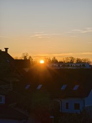 IMG_20250223_175038.jpg