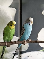 IMG_20250323_113930.jpg