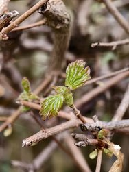 IMG_20250323_115355.jpg