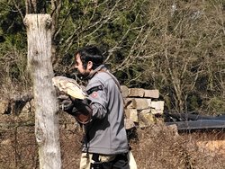 IMG_20250322_114946_1.jpg