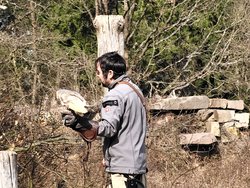 IMG_20250322_114947.jpg