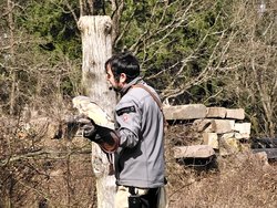 IMG_20250322_114946_2.jpg