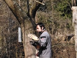 IMG_20250322_114948_1.jpg