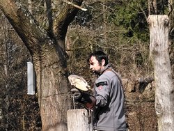 IMG_20250322_114948.jpg