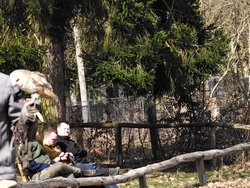 IMG_20250322_114953_2.jpg