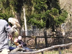 IMG_20250322_114953_1.jpg