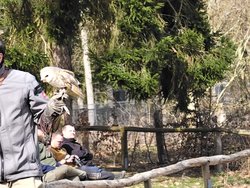 IMG_20250322_114953.jpg