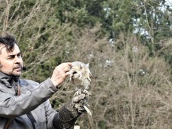 IMG_20250322_115155_1.jpg