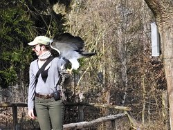 IMG_20250322_114823_1.jpg