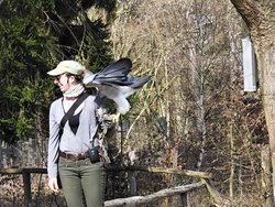 IMG_20250322_114823_2.jpg