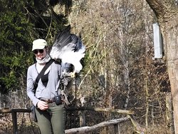IMG_20250322_114823_3.jpg