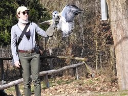IMG_20250322_114819.jpg